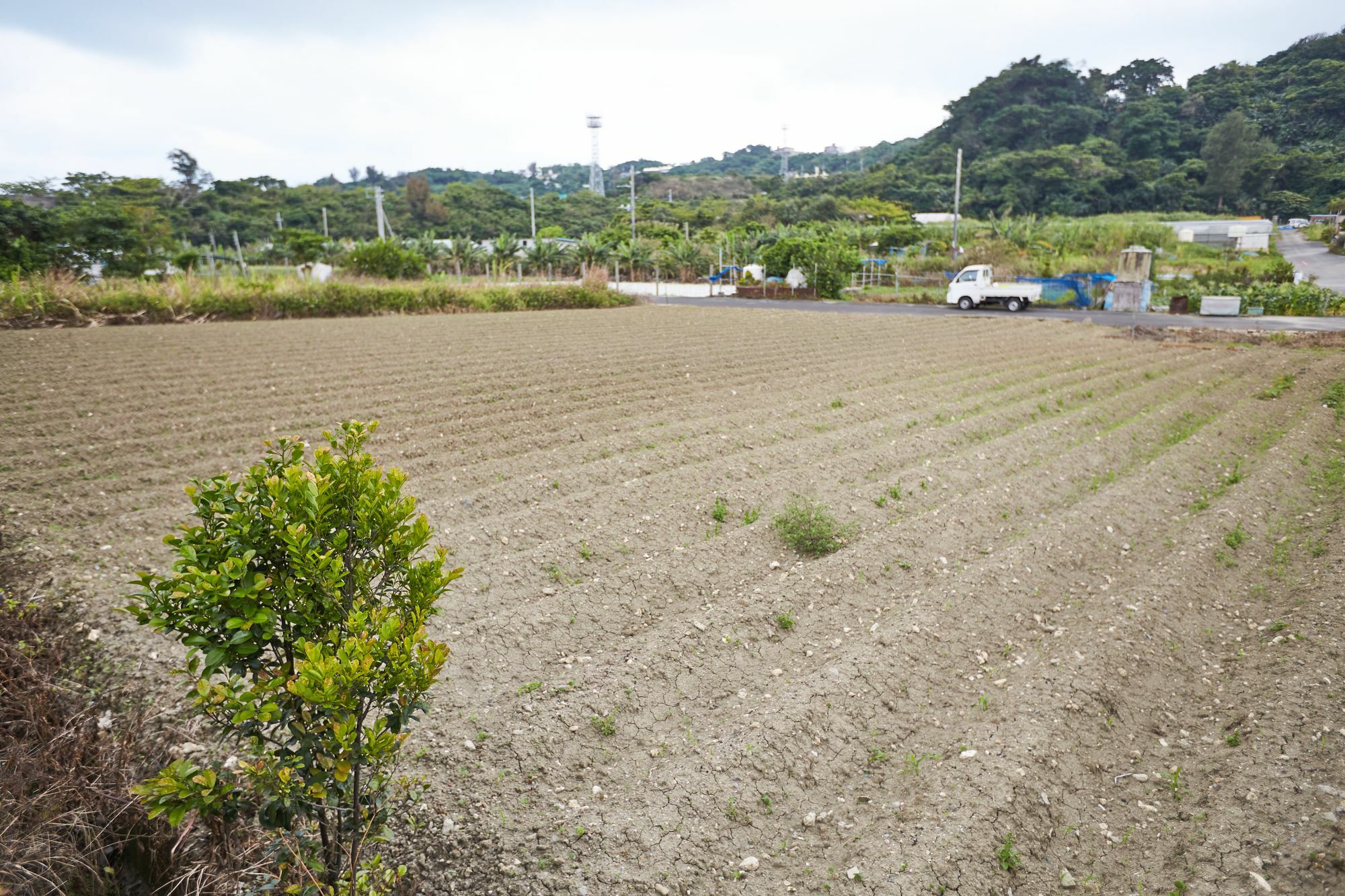 Southern Village Okinawa Kitanakagusuku Exterior photo